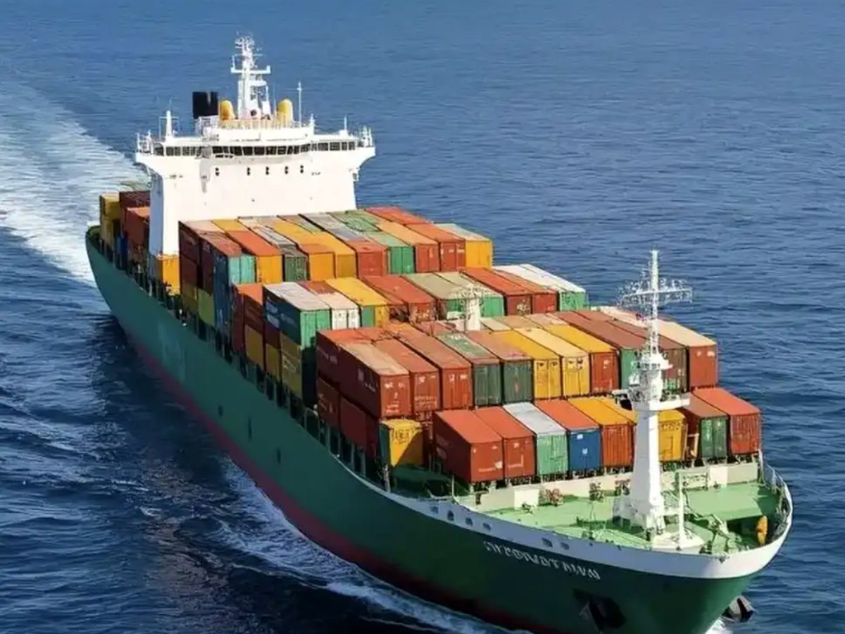 Container ship sea export for wholesale bentonite cat litter