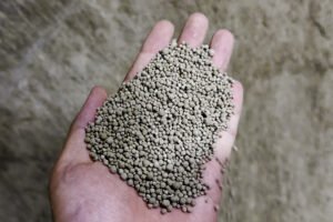 Clumping Cat Litter Manufacturing process