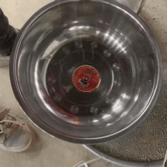 Dust-Free Bentonite Cat Litter